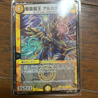 聖霊龍王 アルカディアスD