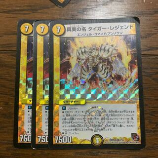 真実の名 タイガー・レジェンド　3枚セット