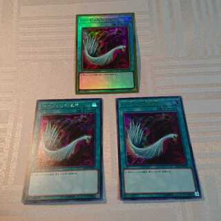 ハーピィの羽根帚 ３枚セット