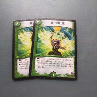 進化設計図 ２枚セット