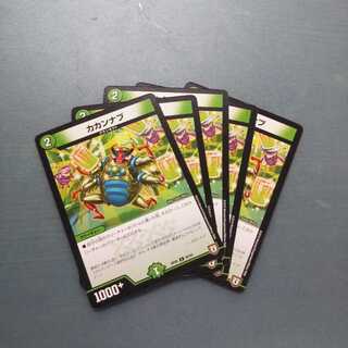 カカンナブ ５枚セット 453