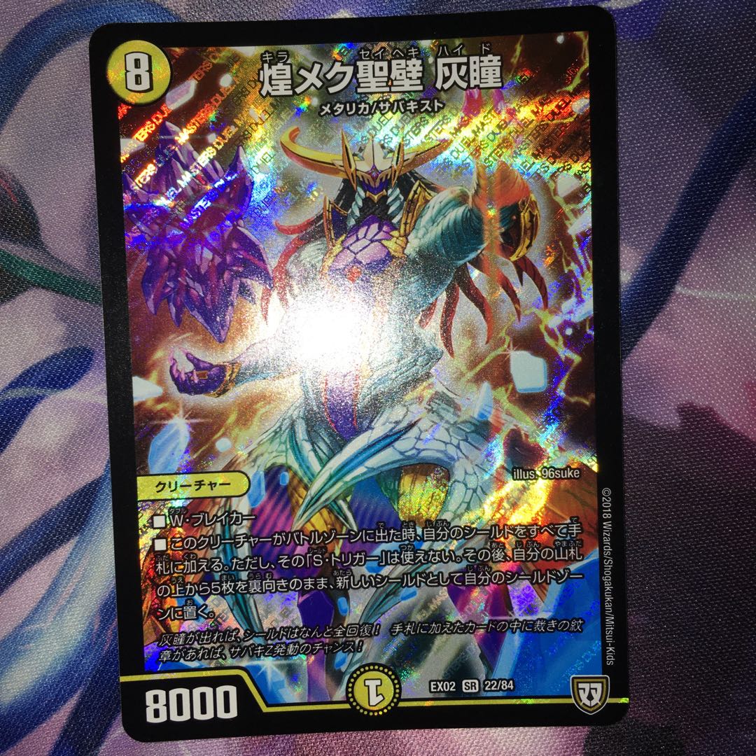 煌メク聖壁 灰瞳