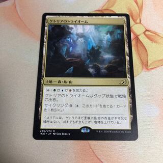 ケトリアのトライオーム