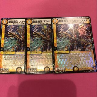 最安値 聖霊龍王 アルカディアスD