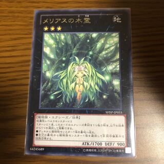 メリアスの木霊 R