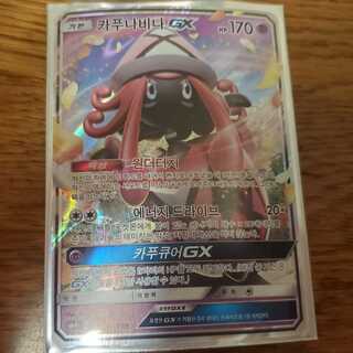 SM4＋ カプ・テテフGX 韓国版