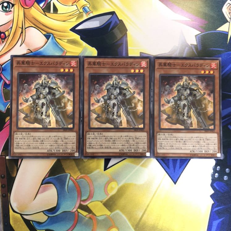 昇華騎士-エクスパラディン SR 3枚