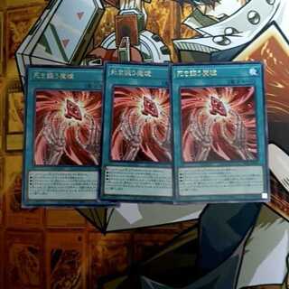 Devil's Eyes that Speak of Death Rare ROTA-JP065