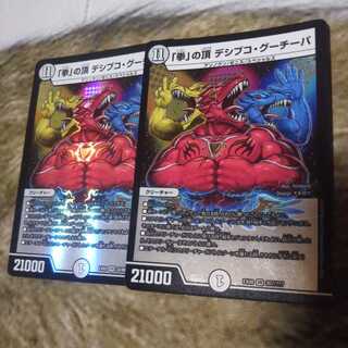 「拳」の頂 デシブコ・グーチーパ