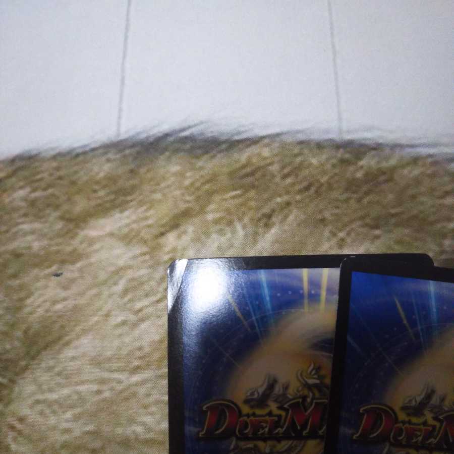 「拳」の頂 デシブコ・グーチーパ