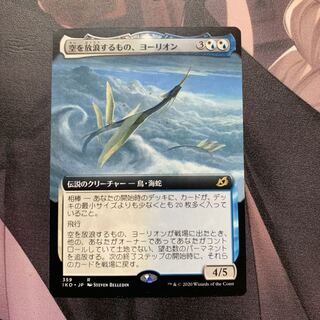 空を放浪するもの、ヨーリオン 拡張アート