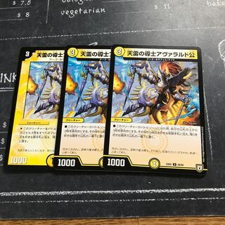 天雷の導士アヴァラルド公