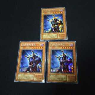 絶対防御将軍 シク