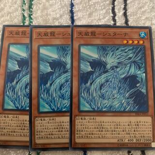 天威龍-シュターナ