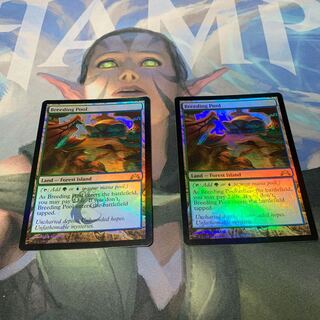 繁殖池　foil 2枚セット