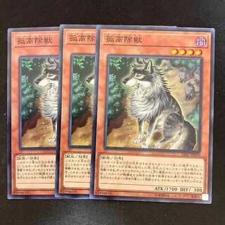 孤高除獣 ノーマルレア JP030