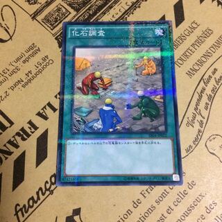 化石調査【NP】