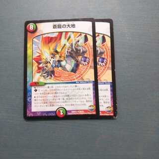 蒼龍の大地 ２枚セット