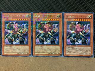 【ぽぽたん】遊戯王 9462 魔轟神ディアネイラ 3枚 レア DT