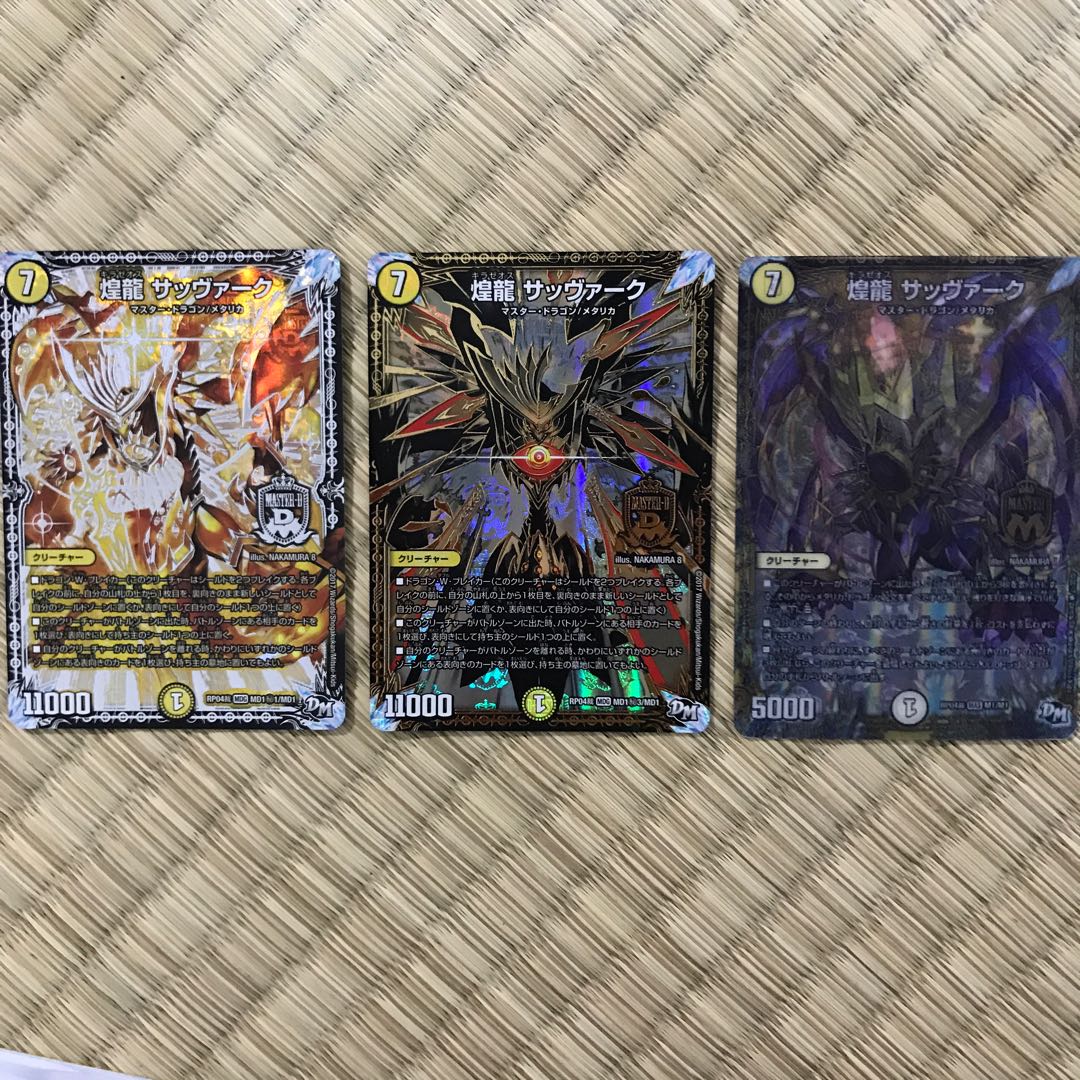 煌龍 サッヴァーク