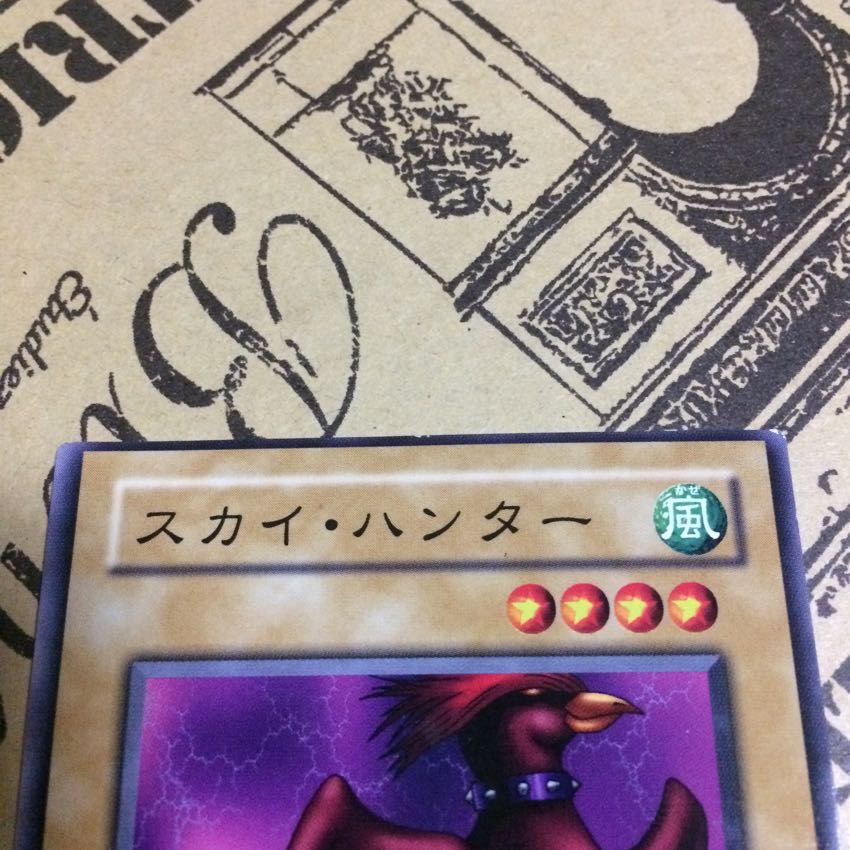 スカイ・ハンター[エラーカード]【N】 1枚
