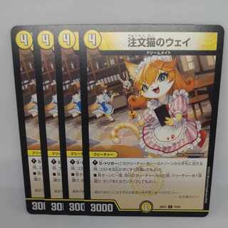 Order Cat's Way C 70/89