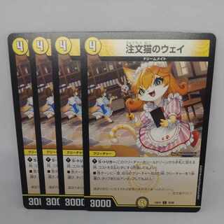 Order Cat's Way C 70/89