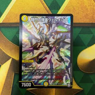 闘門の精霊ウェルキウス