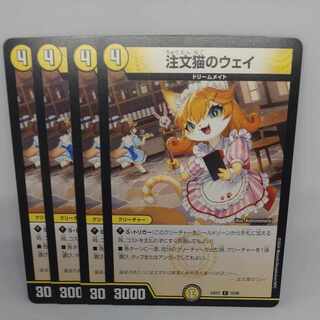 注文猫のウェイ C 70/89