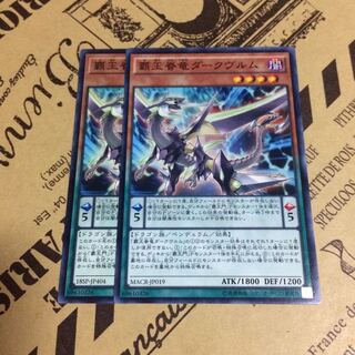 覇王眷竜ダークヴルム【N】