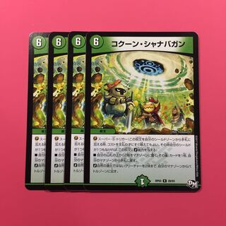 コクーン・シャナバガン 4枚