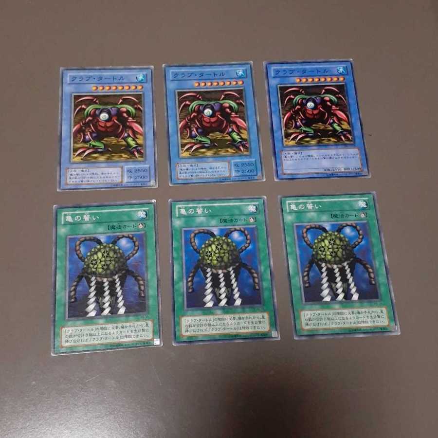 クラブ・タートル、亀の誓い(N)