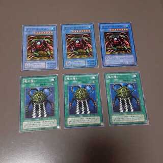 クラブ･タートル、亀の誓い(N)