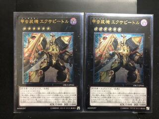 Inzektor Exa-Beetle UL