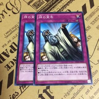 《解禁！》神の宣告【N】