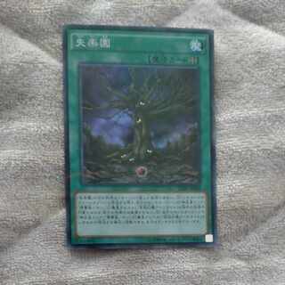 失楽園 パラレル スーパーレア JP008　【木林堂】