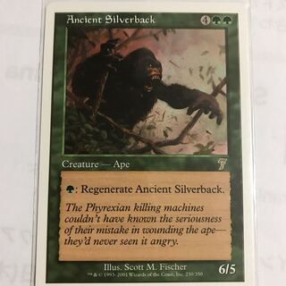 Ancient Silverback