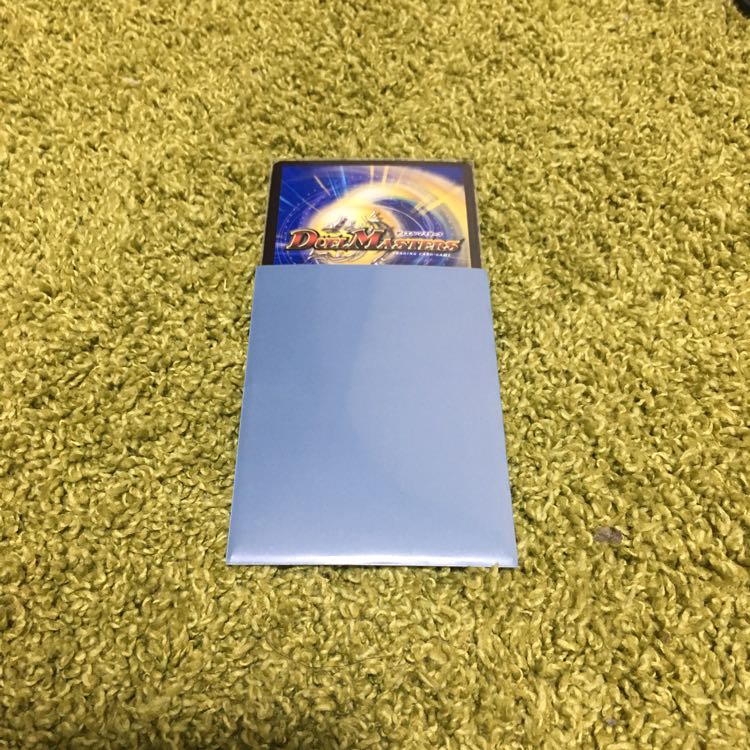 アナカラーシャコガイル