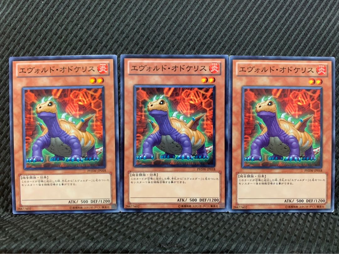 【ぽぽたん】遊戯王 6798 エヴォルド・オドケリス 3枚 ノーマル