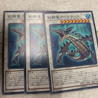 飢鰐竜アーケティス