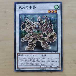 かん様専用 武力の軍奏 沼地のドロゴン