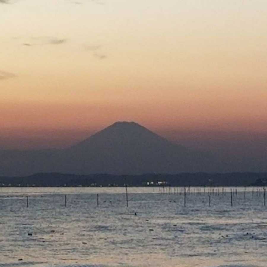 のーれさん専用