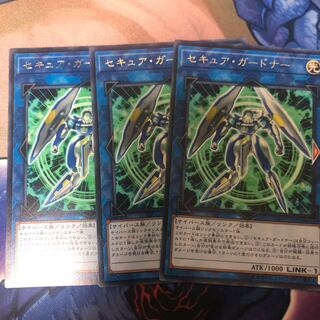 セキュア・ガードナー　3枚