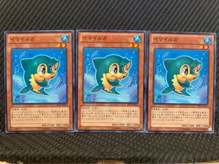 【ぽぽたん】遊戯王 7776 イマイルカ 3枚 ノーマル