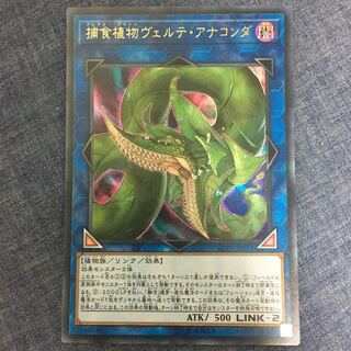 捕食植物ヴェルテ・アナコンダ UR