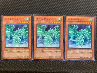 【ぽぽたん】遊戯王 5146 オキシゲドン 3枚 ノーマル