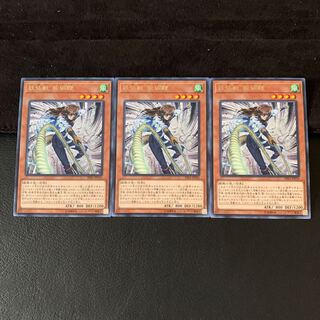 妖仙獣 飯綱鞭 R