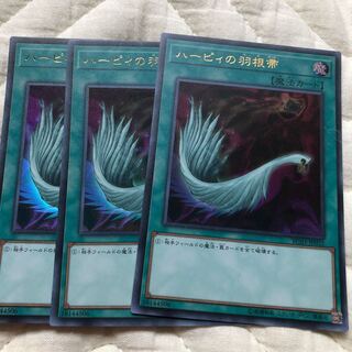 ハーピィの羽根帚 UR