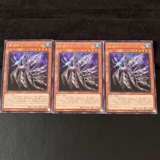 揺海魚デッドリーフ R