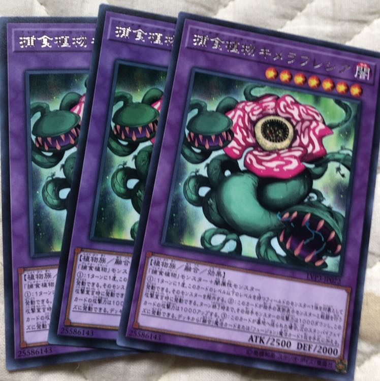 捕食植物キメラフレシア R